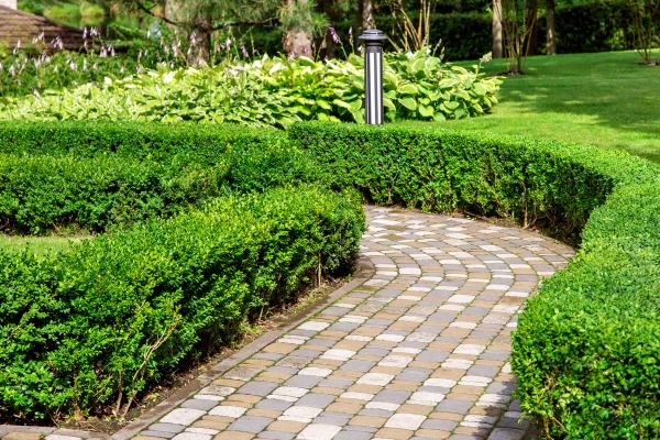 Paved Landscaping in Brighton