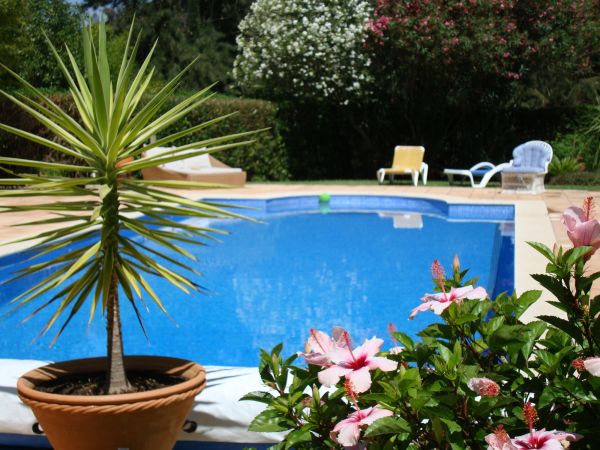 Cost of Pool Terrace Renovation in Brighton