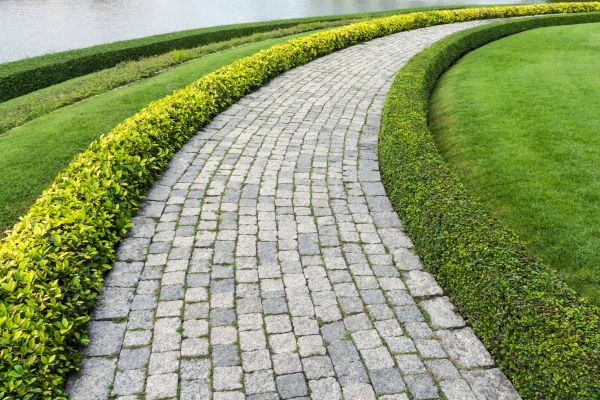 Sidewalk Pavers Installation in Brighton